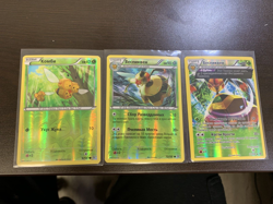 RUSSIAN Ancient Origins Pokemon Combee Vespiquen Reverse Holo PAIR XY 11 Full - Image 1