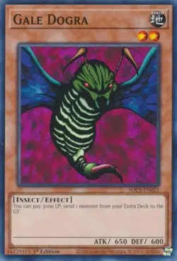x3 Gale Dogra - SDCS-EN021 - Common - 1st Edition Yu-Gi-Oh! M/NM - Image 1