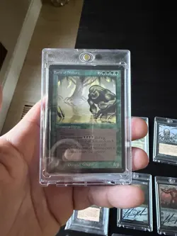 Force of Nature: 1993 Magic the Gathering - Limited Edition Beta Regular - Image 1