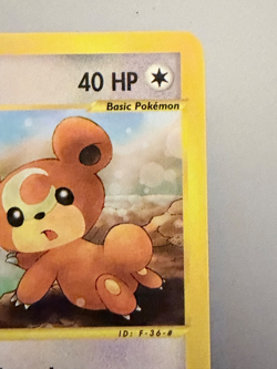 Pokemon Skyridge Teddiursa 109/144 🐻 Vintage WOTC e‑Reader Classic (2003) - Image 2