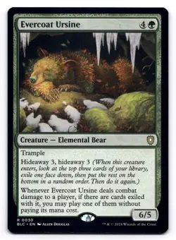 Evercoat Ursine NM Commander: Bloomburrow 30 MTG Regular - Image 1