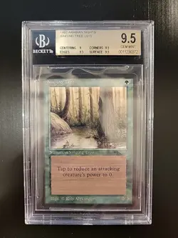 Singing Tree Arabian Nights BGS 9.5B MTG - Image 1