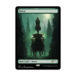 WOTC MtG Magic the Gathering Forest (The Dracula Lands) (R) (Foil) EX - Image 1