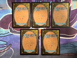 MTG 2025 Aetherdrift: First-Place Foil Basic Lands (5 Card Lot) - Image 2