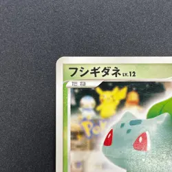 [No Import Duty (US)] Bulbasaur 030/DPt-P Pokemon 10th Anniversary Pokemon Card - Image 3
