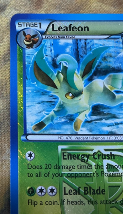 Leafeon 11/116 Holo Promo Foil 2013 Pokemon Card Championships #2720 - Image 3