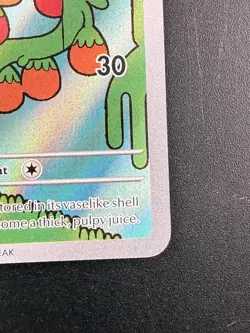 Pokemon TCG Shuckle 136/132 Mega Evolution Illustration Rare NM - Image 4