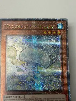 Mulcharmy Purulia (Quarter Century Secret Rare) INFO-EN027 The Infinite 1st #5 - Image 2
