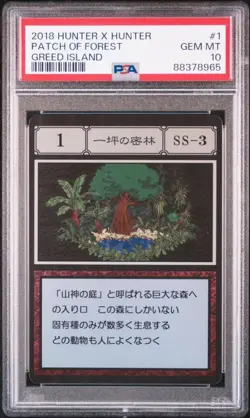 PSA 10 No.1 SS-3 Tsubo Jungle Hunter Greed Island Card Gem Mint - Image 1