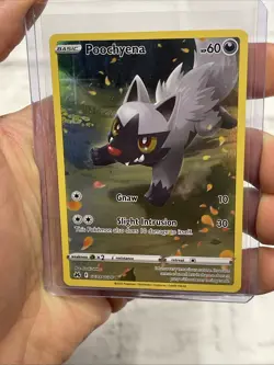 Poochyena GG33/GG70 Holo Crown Zenith Galarian Gallery Pokemon Holo NM/MT Card - Image 1