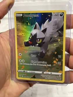 Poochyena GG33/GG70 Holo Crown Zenith Galarian Gallery Pokemon Holo NM/MT Card - Image 2