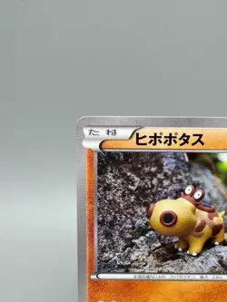 Hippopotas 159/XY-P Pokemon Center Promo Japanese Pokemon Card LP - Image 4