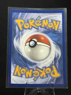 Turtwig - 040 040 Holo Promo ME: Mega Evolution Promo Pokemon Near Mint - Image 2