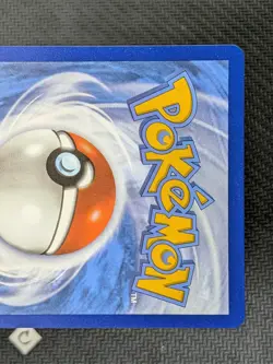 Raihan 202/203 - Evolving Skies Full Art Ultra Rare Pokemon TCG NM - Image 3