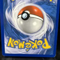 Stoutland Holo Rare 122/149 Boundaries Crossed Pokemon TCG - Image 5