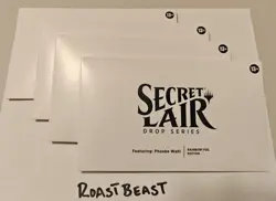 1x Magic The Gathering - Secret Lair: Phoebe Wahl FOIL - Factory Sealed NEW - Image 1