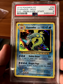 2016 POKEMON XY EVOLUTIONS GYARADOS PRE RELEASE STAFF HOLO PSA 9 - Image 1