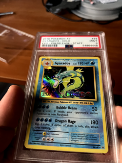 2016 POKEMON XY EVOLUTIONS GYARADOS PRE RELEASE STAFF HOLO PSA 9 - Image 2