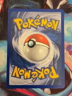 1st Edition Bayleef Neo Genesis 29/111 Pokemon TCG - Image 2