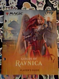 *MTG* Magic the Gathering Player's Guides Ixalan Ravnica Dominaria Core Set FAST - Image 2