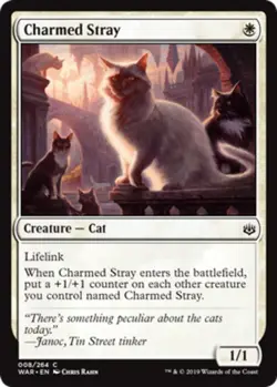 4x Charmed Stray MTG War Of The Spark NM Magic Regular - Image 1