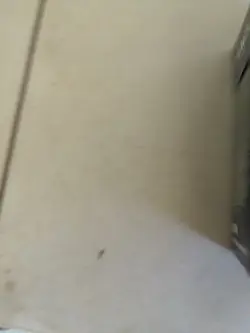 Magic The Gathering-MTG-Core 2020-Sorin-Planeswalker Deck-FACTORY SEALED-NEW - Image 3