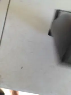 Magic The Gathering-MTG-Core 2020-Sorin-Planeswalker Deck-FACTORY SEALED-NEW - Image 4