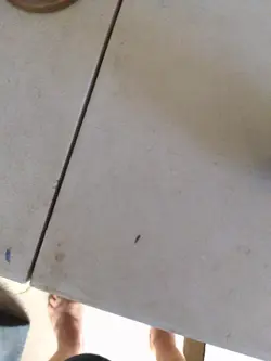 Magic The Gathering-MTG-Core 2020-Sorin-Planeswalker Deck-FACTORY SEALED-NEW - Image 5