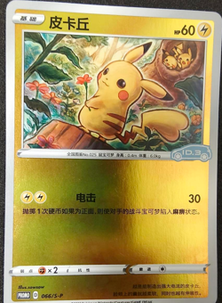 Pokemon S-Chinese Sword & Shield 066/S-P Pikachu VW ID.3 Limited Promo FOIL RARE - Image 1