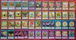 YUGIOH Naturia Deck 46 Cards Beast *Barkion* Exterio *Bamboo Shoot* Cherries - Image 1