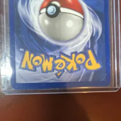 Pokemon Feraligatr Expedition Swirl Base Set Holo Rare Card 012/165 English - Image 5