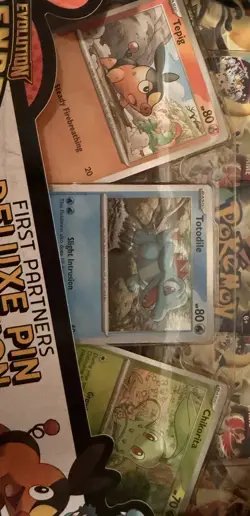 Pokemon TCG Ascended Heroes Deluxe Pin Collection Box NEW- FACTORY SEALED - Image 3