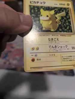 Pokemon Pikachu Ivy Japanese Vintage No.025 LP Keiji Kinebuchi - Image 3