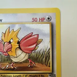 Spearow - 62/64 - Jungle Set - 1st Edition - Common - Pokemon - WOTC - NM - Image 4