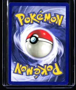 2000 Promos - Wizards Black Star Arcanine #6 Non Holo Promo Pokemon Card - Image 2