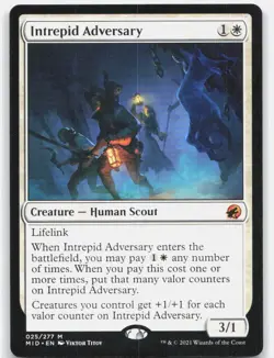Intrepid Adversary *Regular* MID 25 NM-LP - Image 1