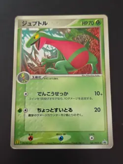 Pokemon card Japanese Grovyle 081/PCG-P McDonald's Black Star Promo 2005 - LP+ - Image 1