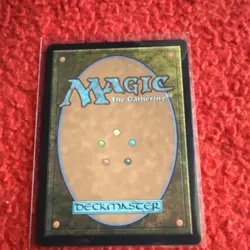 Wizards of the Coast Jetmir's Garden Rare Land Showcase 351 Regular 2022 English - Image 2