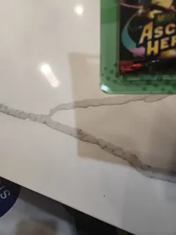 Pokemon TCG Ascended Heroes 2-Pack Blisters - Erika and Larry - Set of 2 SEALED - Image 4