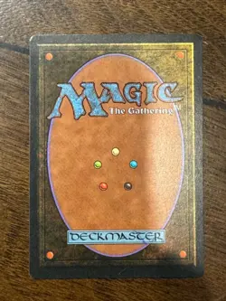 1995 MTG - Fourth Edition - Radjan Spirit -NM - Image 2