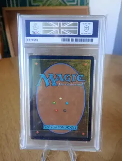 Plains (0102) Universes Beyond: Assassin's Creed Foil MTG Near Mint - Image 2