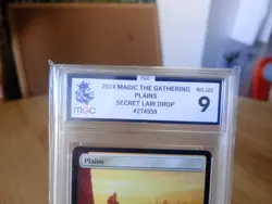 Plains (0102) Universes Beyond: Assassin's Creed Foil MTG Near Mint - Image 3