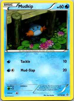 Mudkip 33/160 - XY - Primal Clash Pokemon Common LP - Image 1