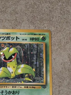 [ NM ] Victreebel 071 Jungle Rare Holo Japanese Pokemon Card 1996 ( TAIL SWIRL) - Image 2