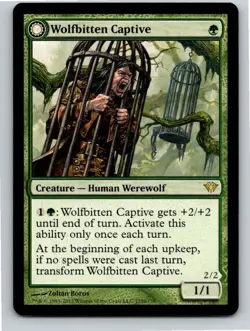 Magic the Gathering Wolfbitten Captive Dark Ascension MTG Free Shipping! - Image 1