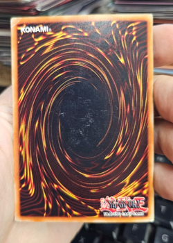 CAVALIERE MAGO NERO (Dark Magician Knight) Segreta ROD EN001 • inglese • Yugioh! - Image 4