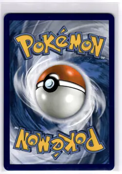 M SHARPEDO EX - XY200 XY200 HOLO PROMO XY PROMO POKEMON LIGHTLY PLAYED - Image 2