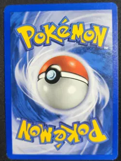 Pokemon Totodile 81/111 1st Edition - Neo Genesis (NM+) - Image 2