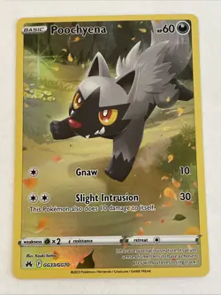Poochyena GG33/GG70 Crown Zenith 2023 English Pokemon Card Near Mint (NM) TCG - Image 1