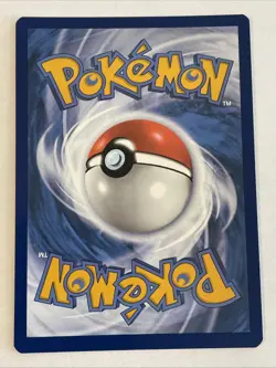 Poochyena GG33/GG70 Crown Zenith 2023 English Pokemon Card Near Mint (NM) TCG - Image 2